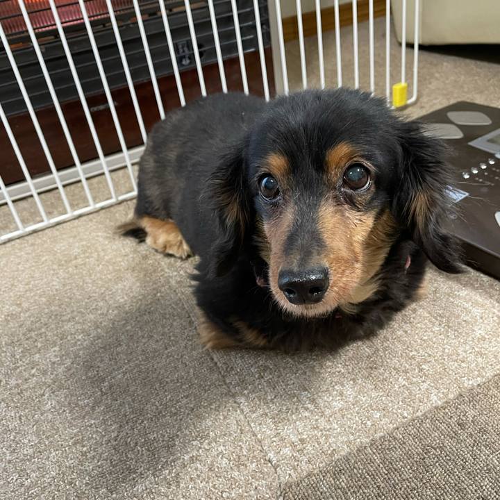 0f7b7e7a cfe1 4db9 89d7 3bcb4f38de7b 1613080223299