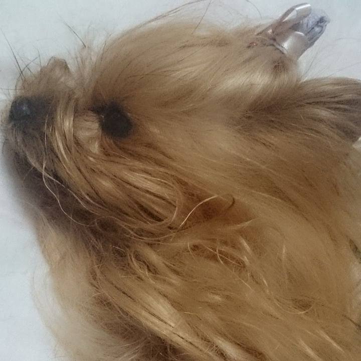 0f7bcbb3 ede1 4149 b056 51b163f585a4 1651296556354