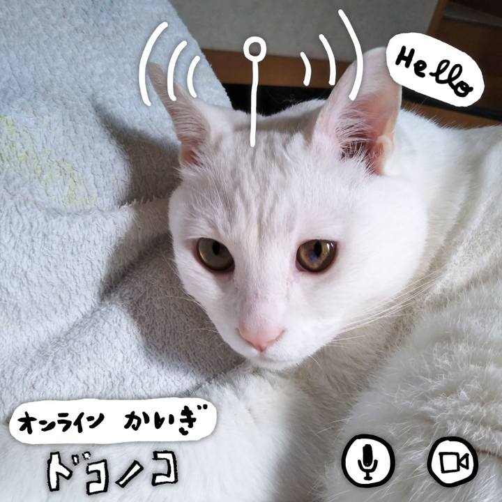 0f7bcf6a 4520 4846 b97f 9067b50a5164 1590730053682