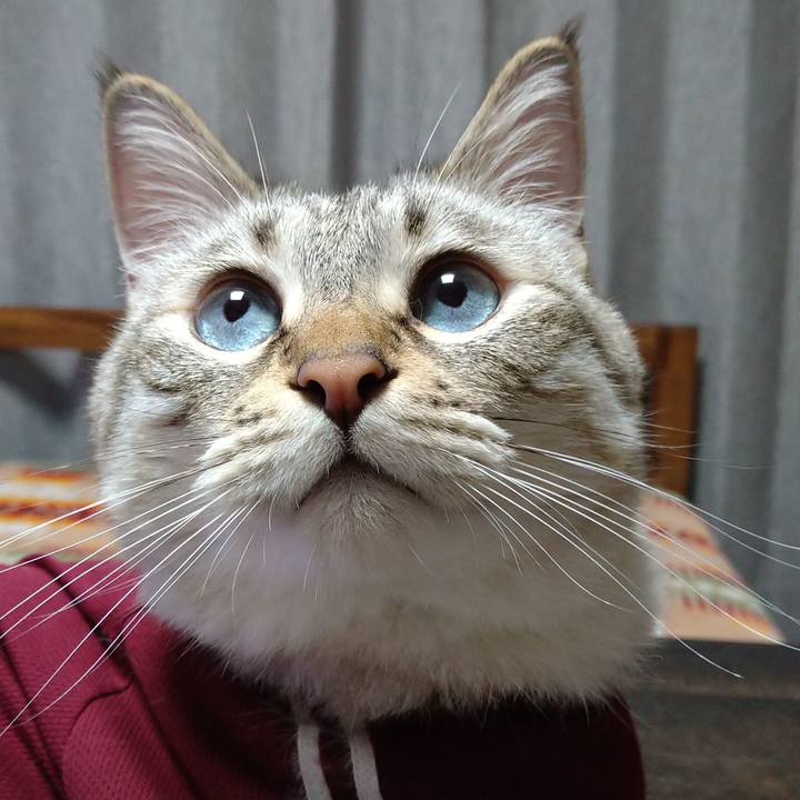 0f7bcfd3 fca9 4caa b0fa 95c5bb0950fa 1688049231439