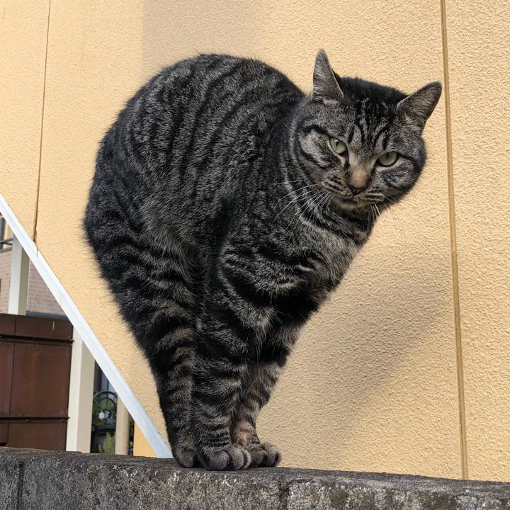 0f7be4d1 dc6a 4be5 be35 6cc9e2662a1d 1518438560659