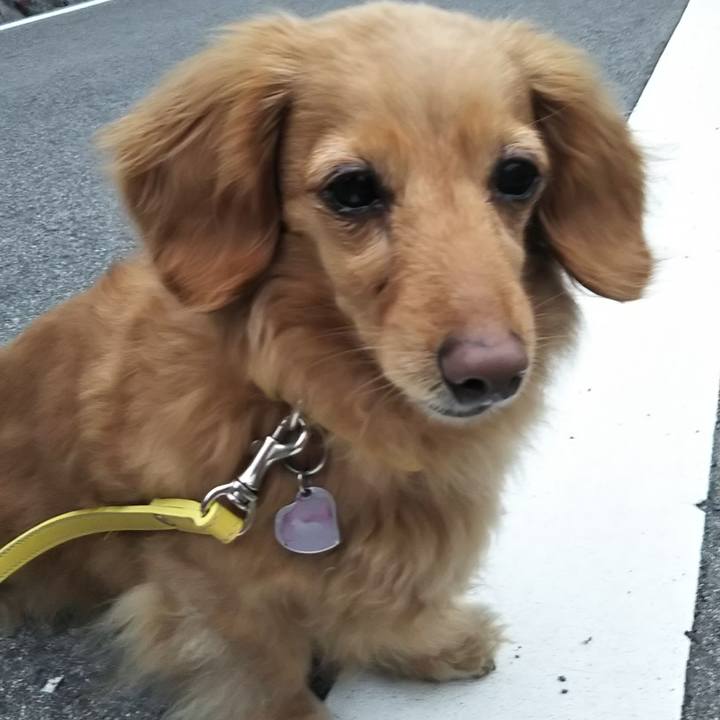 0f7be5c9 42d2 4d8c 9fac c9ca32cedf46 1583793605489