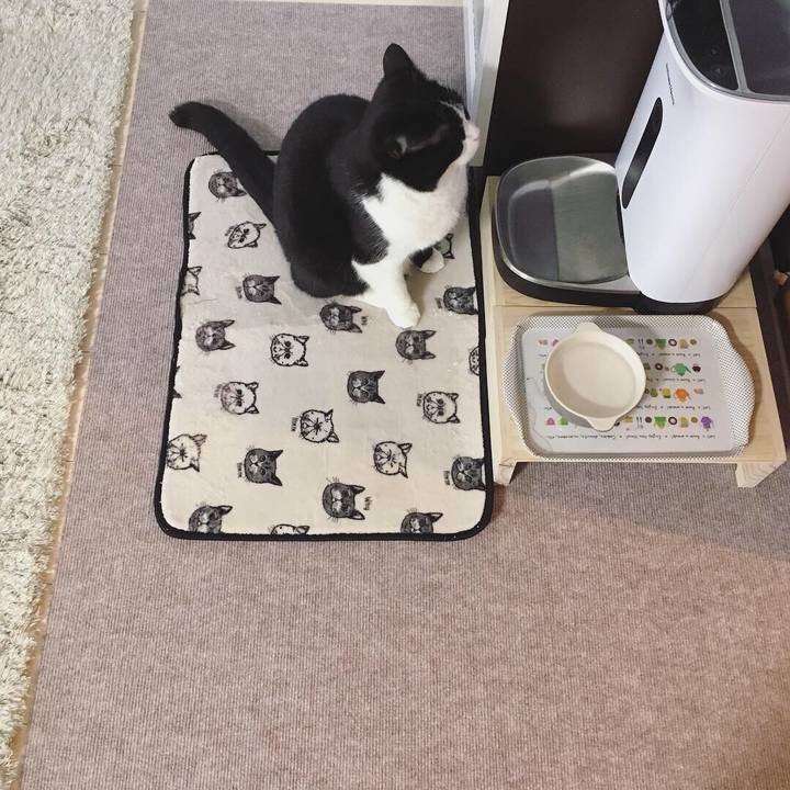 0f7bf57c e270 4c13 ab7b eb5f5b6d20f5 1553071111715