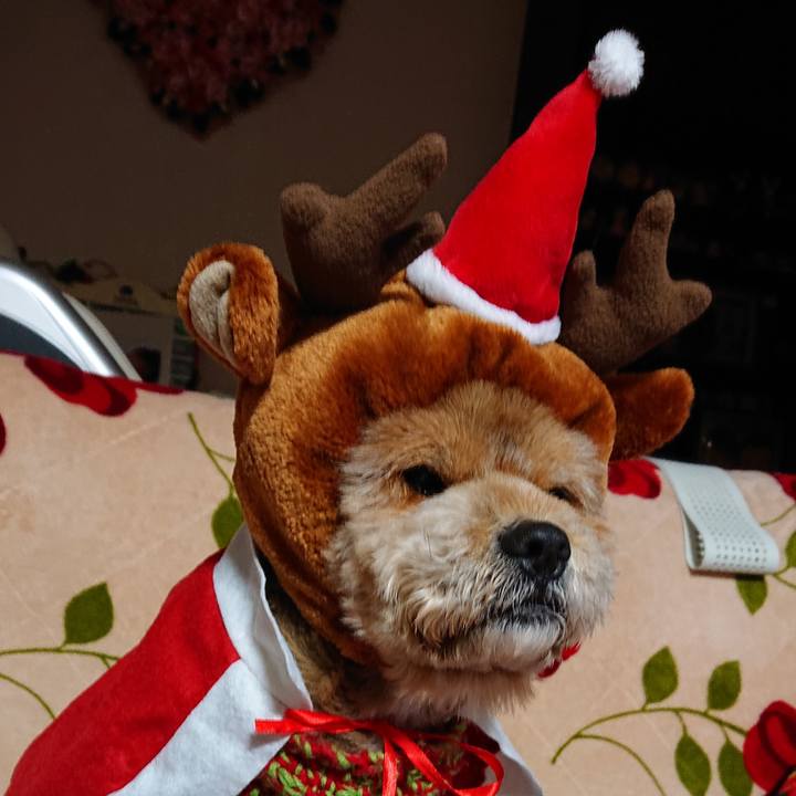 0f7bf9b0 241b 4968 a8af 8e1e512f9d51 1545647995879