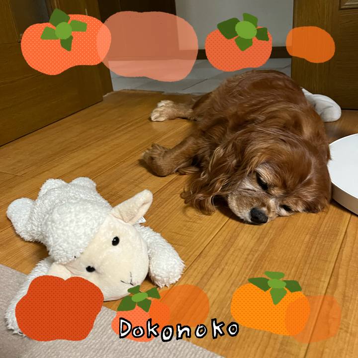 0f7c10ca d01e 49ce 96a0 24d100415a1a 1761215183992