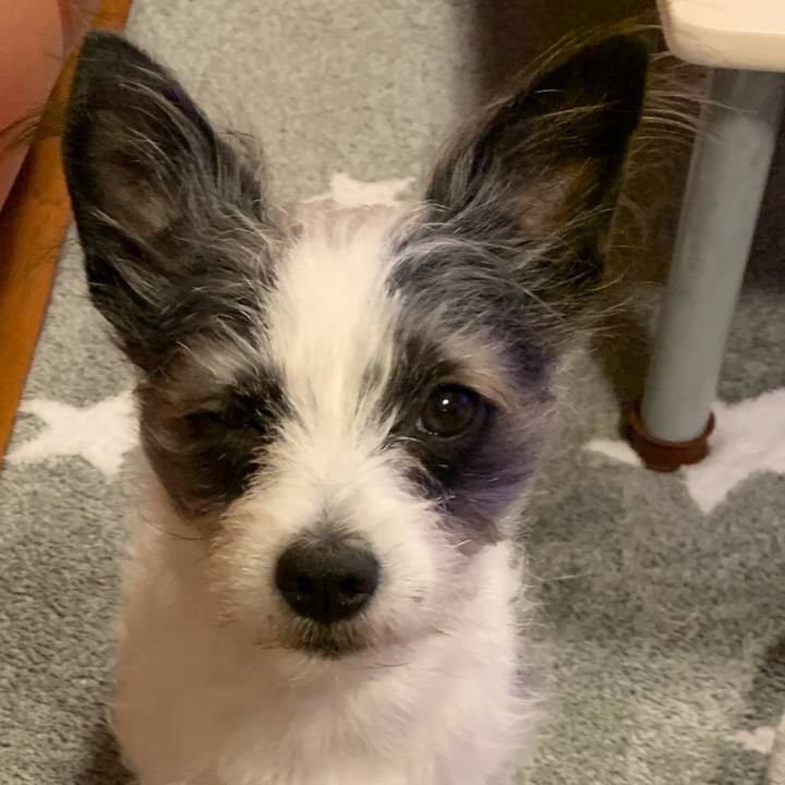 0f7c122f 95a8 4f6e a4b9 c7a75380163c 1579263799498