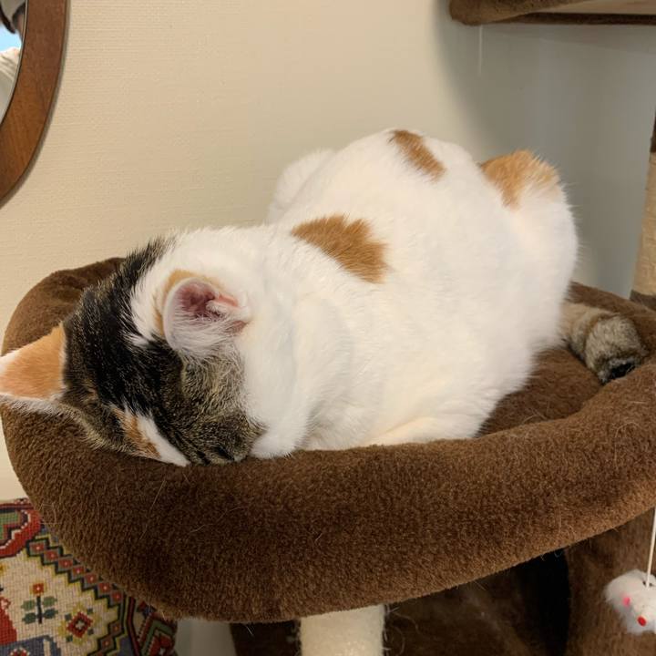 0f7c139c 4e70 4c41 8e26 2bae544efd53 1647562920818