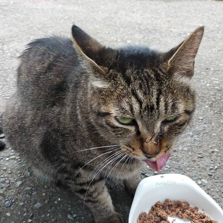 0f7c2402 2556 42e6 948d 4f997ac76215 1657593508640