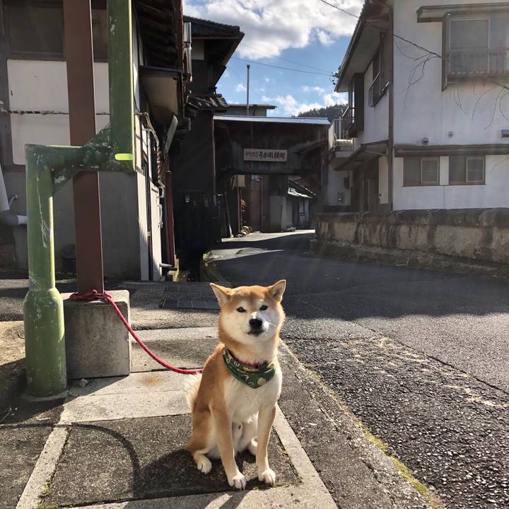 0f7c41d8 4d19 46e7 8508 f9f8a97a1015 1549435266577