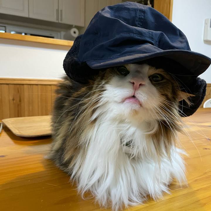 0f7c4882 de55 431c 9fd7 1ea7b47d487d 1672696430454