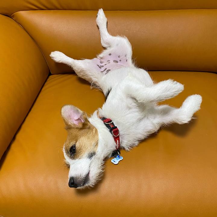 0f7c4a8b f64c 49f8 a703 7ffb8e21ebf0 1624481427675