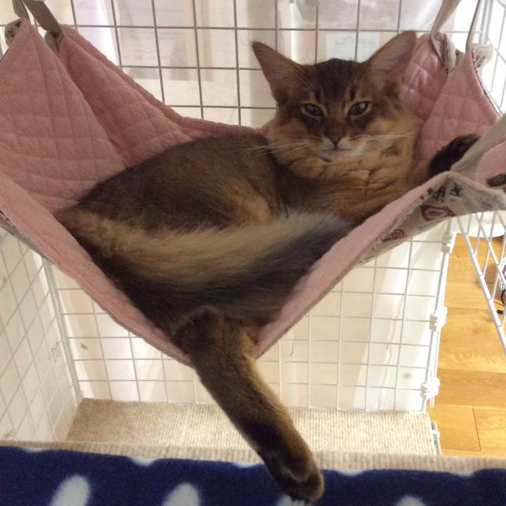 0f7c7279 0ed4 486c 82ca 786e46ab5f4e 1575018667931