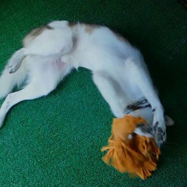 0f7c7c0a bdfd 4167 a05c 68f484f25e91 1541655317713