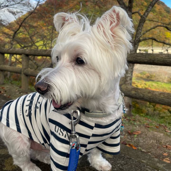 0f7c8149 2478 47bd 817b 453d4f585bc7 1764152428928