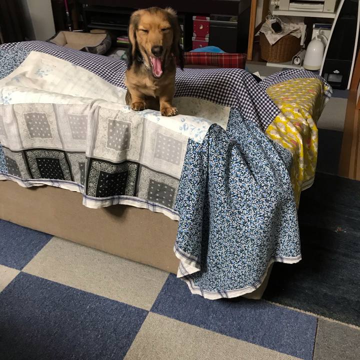 0f7c93e5 d638 42cb ac92 81104e2210cb 1615292675663