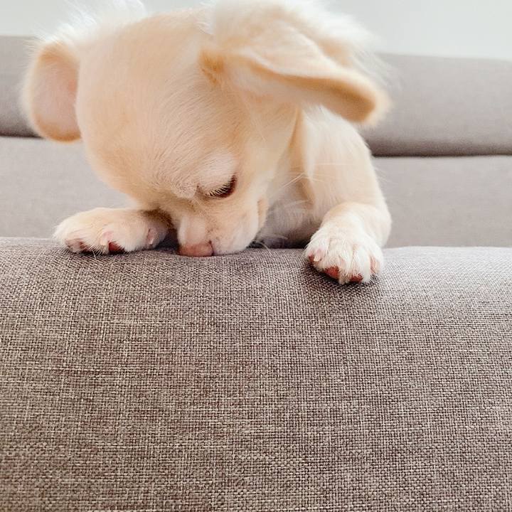 0f7c9c75 8b77 4b1d b15b c01c29199283 1595977589394