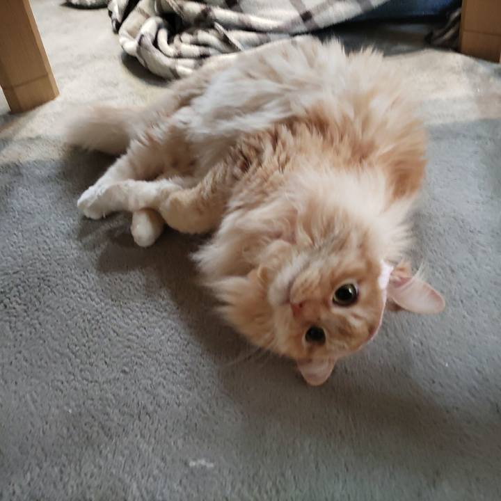 0f7ca8ee 92ab 4ab3 8622 7cfb94d7ecf5 1682813853167