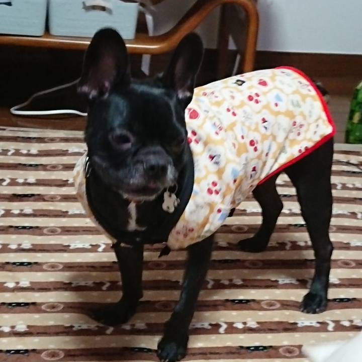 0f7cd7a5 1ae4 41f9 9b0b c27a3d4e201c 1579155353565