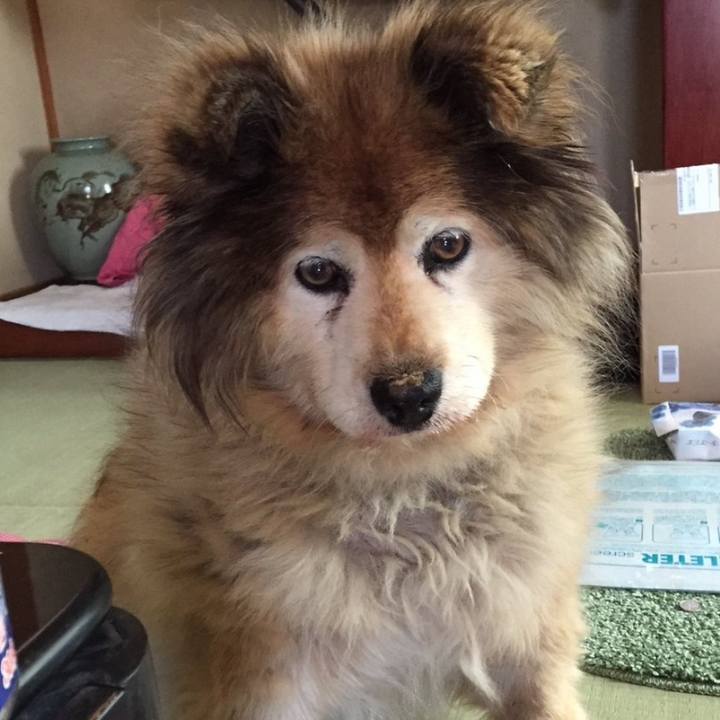 0f7cf984 f031 4d52 b35b 5d31a6aaf19a 1603047796225