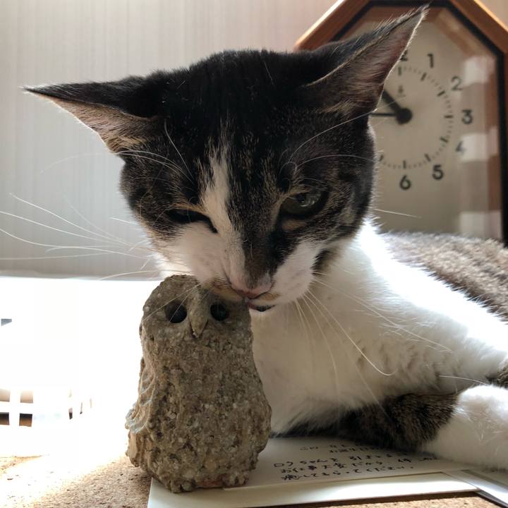 0f7cfbaf a177 4813 a19d e205ceb1cba5 1532582283094