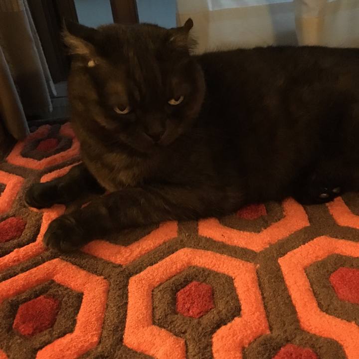 0f7d1c37 661d 466d 8973 38a767c5fe6e 1559218487647