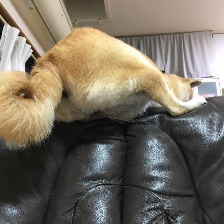 0f7d33da 3f53 48a6 a9f5 11d1ca6c33b8 1541854392605