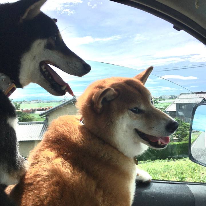 0f7d3567 f579 4a7e 821f 3fa710a015c1 1594515828793