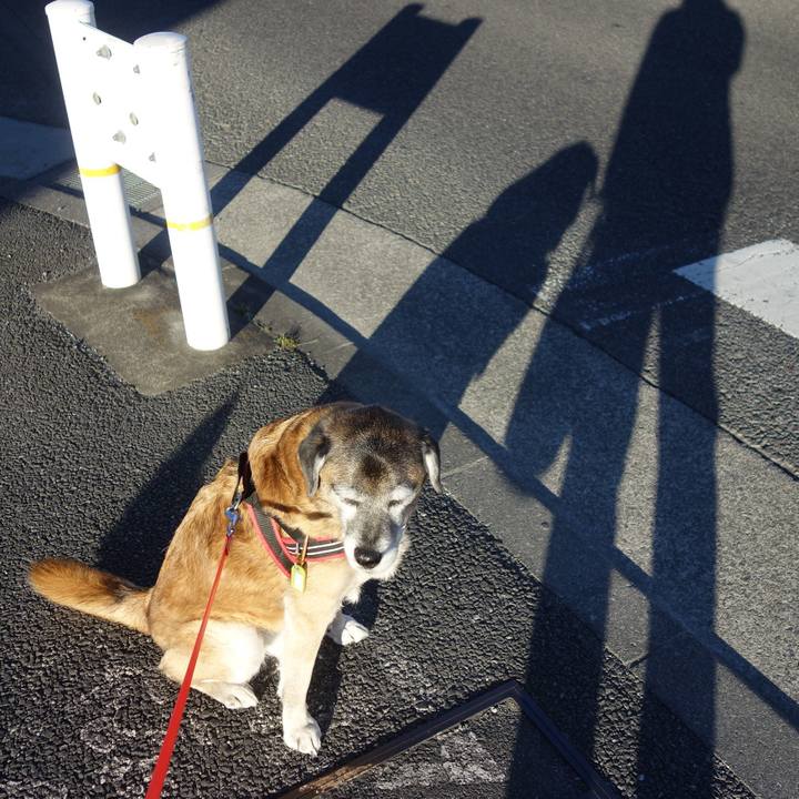 0f7d4339 ba3d 4ee5 8a56 f74be96a4064 1657409989402