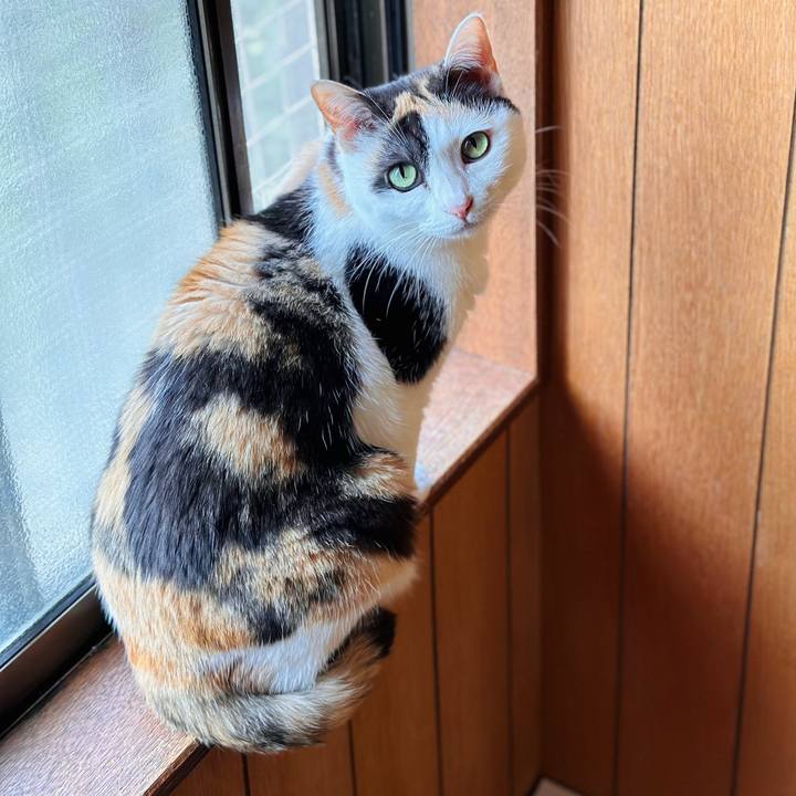 0f7d8f8d b38f 4cbc acab 87e5917ffc07 1714268968004