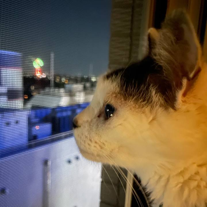 0f7dd65b 8781 4567 9e7a 4268f9aff40b 1753614722884