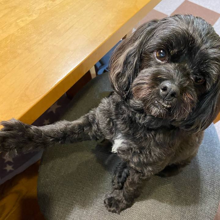 0f7ddf13 68ea 464e a749 cd22b4777ad9 1662135115892