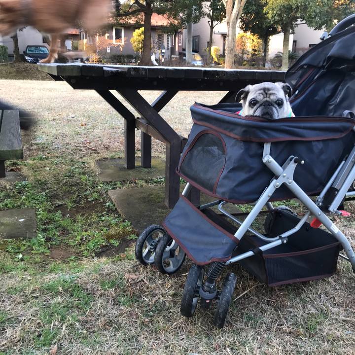 0f7df635 4d49 438d a2d6 a4618450dea6 1578223566523