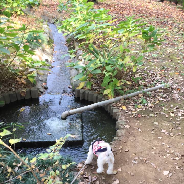 0f7e05d9 1d31 4a1b ac95 89056f3a9e85 1542522382153