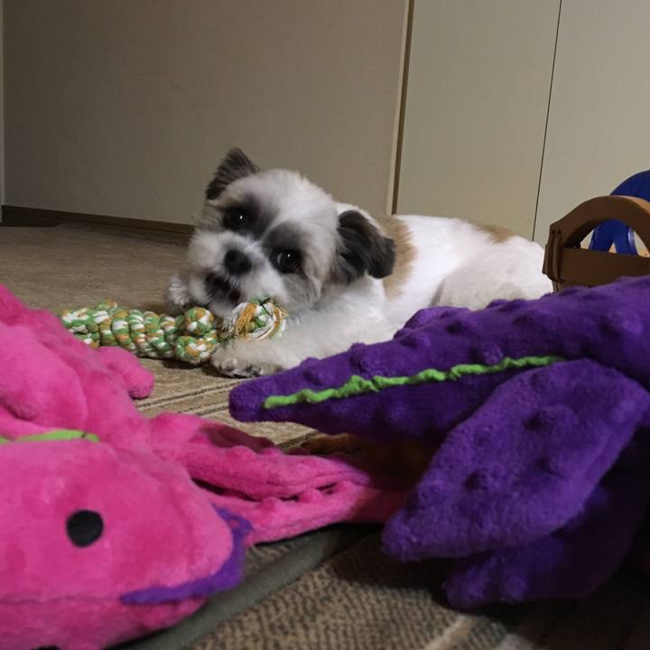 0f7e3b14 a096 460a a1cd d3736a33bf0e 1508660610751