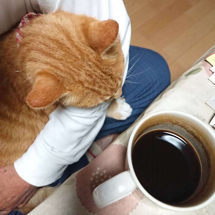 0f7e6ce1 2f43 4863 a702 4b6c78771b50 1600461166473