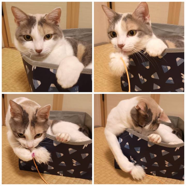 0f7e938e 1729 4ecd bea5 54d3cc3d3877 1611804212036