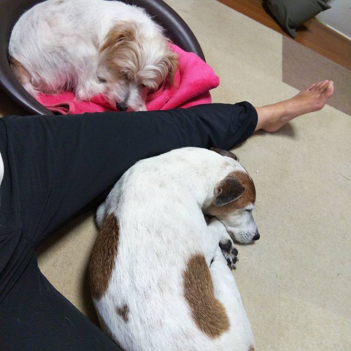 0f7eb8ee 4b9c 4ac8 a0c1 06c3e3d06a75 1536052003160