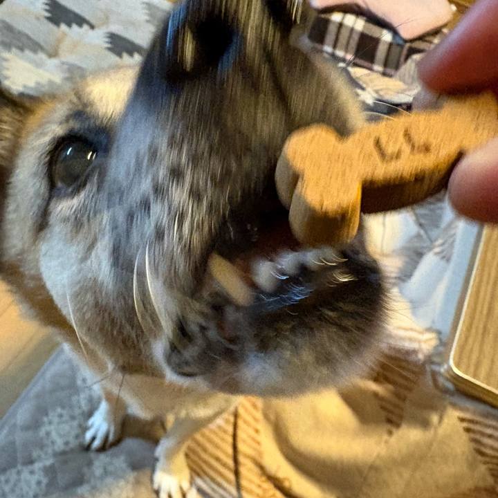 0f7ed149 83ee 42e7 ba98 94d5ef1dd906 1765198604160