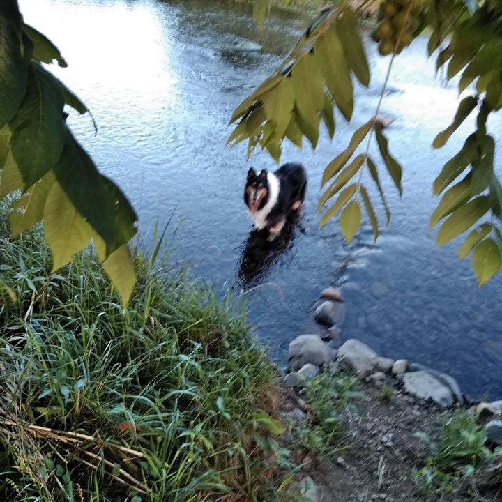 0f7ee834 2e0e 4e4c 9e91 2111751d9f49 1530366727603