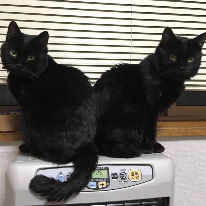 0f7f5853 4094 47a6 a94b 884c5c29e602 1566046983965