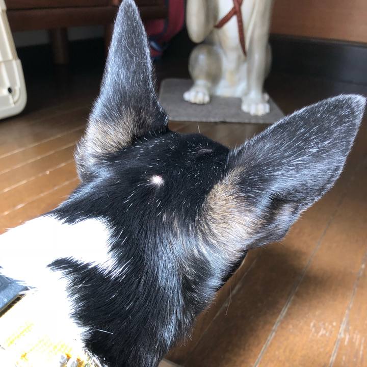 0f7f612b f0b9 4974 8322 40cb7ff26e9a 1529190073904