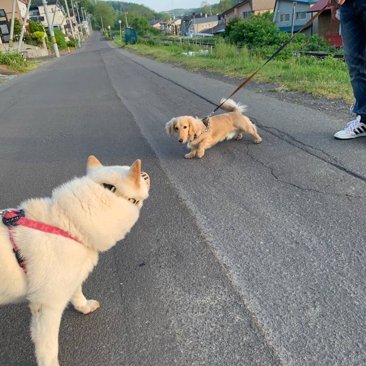 0f7f6d79 1d2f 431f ac8b 147ca2cb242e 1591303296160