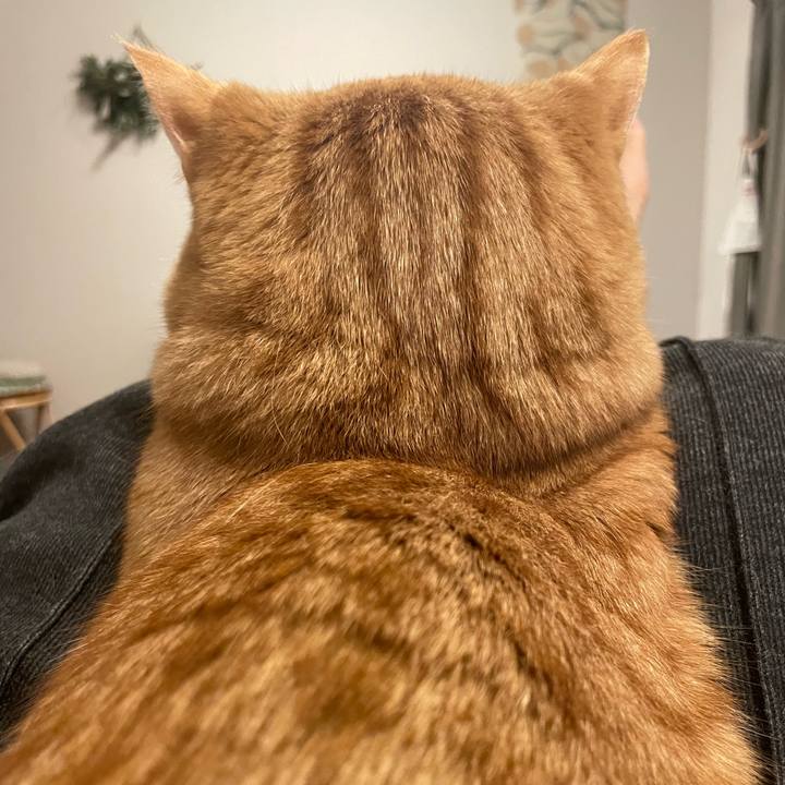 0f7fb24a 7644 4e62 a6cd a821a63bf1bf 1767698341017