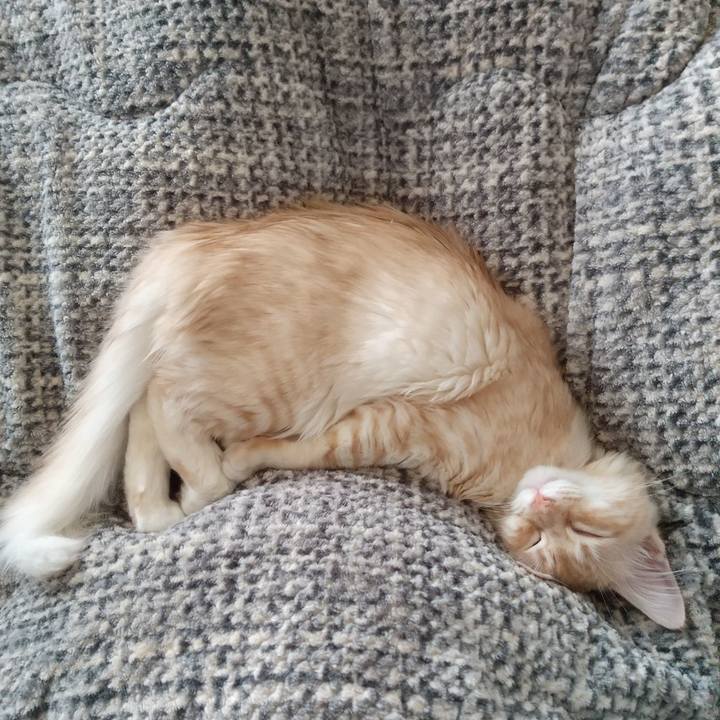 0f804708 ac5c 437c 81ed fd52cefb46f8 1608958653760