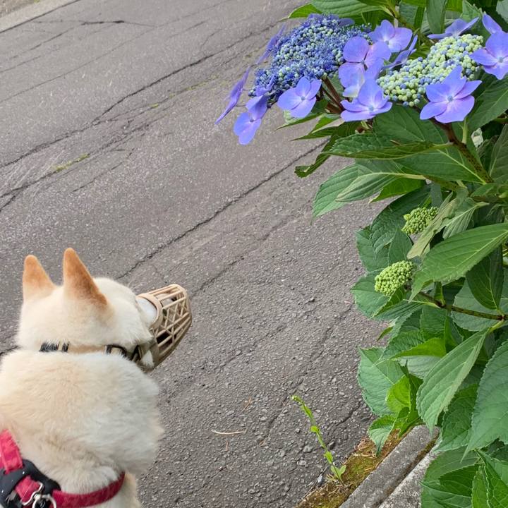 0f804b2c bdf9 4823 8b8f 09a4275f115a 1563481838038