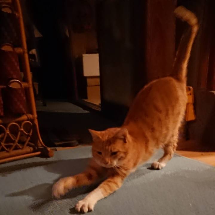 0f806559 fd36 4bde ade4 2084760dfc7b 1570612344523