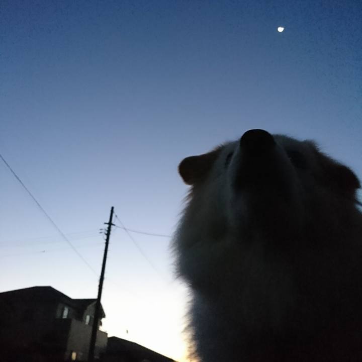 0f806df4 0720 47ac 94c3 f76974a0e418 1510520018545