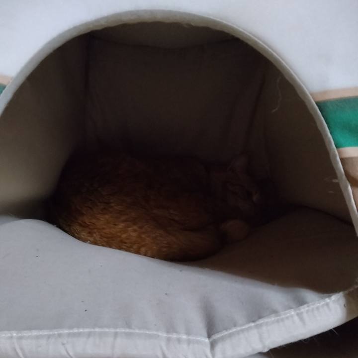 0f8073f9 ff51 4ae0 b1ed accfbe1377c5 1681684831470