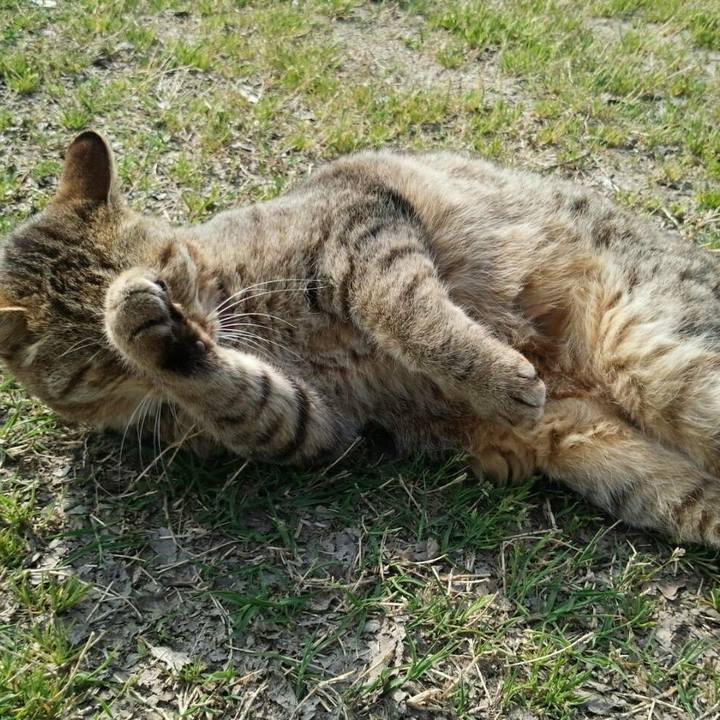 0f809cc7 7510 4df6 ad50 b3c036b71f0f 1522725692153