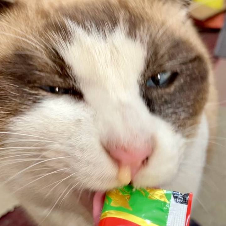 0f80b023 11d4 4bd9 ac28 bd5f489c37ae 1733630503622